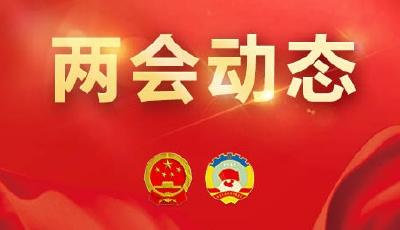 市十七屆人大三次會(huì)議舉行第二次全體會(huì)議