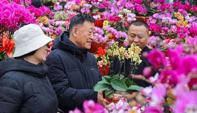 青島市李滄區(qū)：鮮花俏銷迎新年