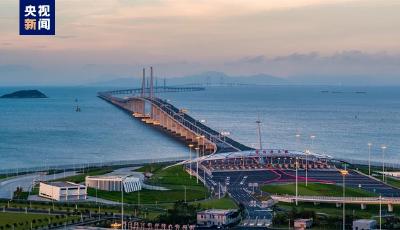 港珠澳大桥全年客车通车量创新高 港澳单牌车占比过半