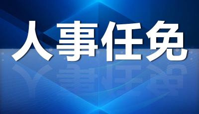 山東2市發(fā)布最新人事任免