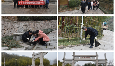 青島市動物疫病預(yù)防控制中心開展登山比賽 提振干事創(chuàng)業(yè)的精氣神