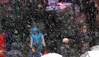 雪沫、柳絮、鵝毛……青島的雪，就是這么多變