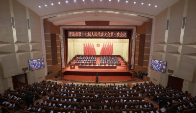 市十七屆人大三次會議隆重開幕
