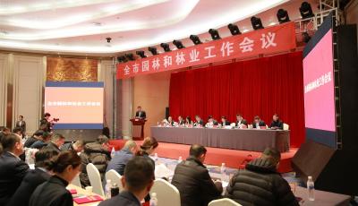 錨定“12131”目標(biāo)！今年青島全面完成公園城市建設(shè)三年攻堅(jiān)任務(wù)