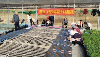 青島農(nóng)科院科技下鄉(xiāng)志愿服務(wù)隊面對面為種植戶紓困解難