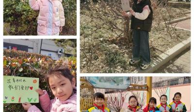 携手护绿  播撒希望——崂山区中韩小学开展植树节系列实践活动