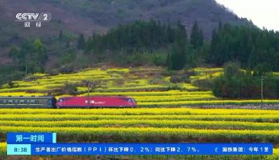熱度同期上漲超3倍！“賞花游”持續(xù)升溫，成春季旅游市場(chǎng)亮點(diǎn)  