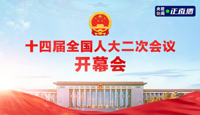 十四届全国人大二次会议开幕会