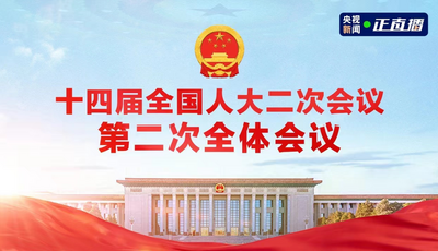 十四届全国人大二次会议第二次全体会议
