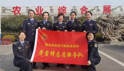 青島市農(nóng)業(yè)執(zhí)法戰(zhàn)線上的鏗鏘玫瑰