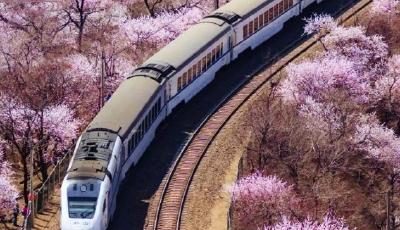 3月4日全国铁路预计发送旅客1010万人次