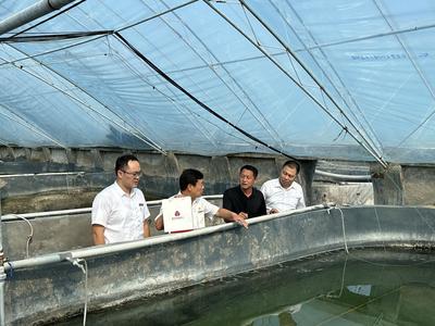 青岛农商银行：践行金融为民 赋能高质量发展