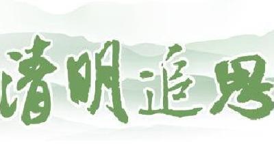 “綠色”清明情亦濃，看山東各地文明低碳祭掃新方式