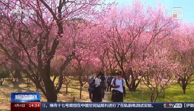 清明假期首日交通情況如何？出行指南→