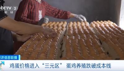 蛋價(jià)跌進(jìn)“3元區(qū)”！未來價(jià)格怎么走