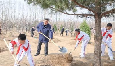 总书记刚刚来过这里丨增绿就是增优势，植树就是植未来