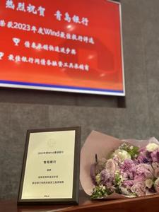 连续多年获Wind“最佳投行”！青岛银行稳居山东债务承销第一梯队