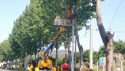 “樱”你而来 青岛公路部门全力护航北宅樱桃节