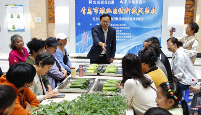 ?青島農(nóng)科專家與市民面對(duì)面 答疑家庭種植蔬菜技術(shù)熱點(diǎn)問題