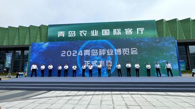 70%为3年来新研发品种！2024青岛首届种业博览会开幕