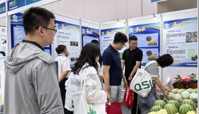 青島市農(nóng)科院20余個(gè)新品種集中亮相種業(yè)博覽會(huì)