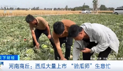 吃瓜季節(jié)“驗瓜師”成“香餑餑” 服務(wù)范圍走向全國