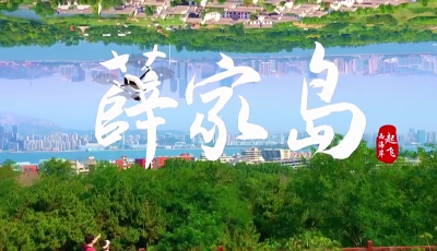 青島西海岸新區(qū)薛家島街道：征程十年風正勁 勇立潮頭逐浪高