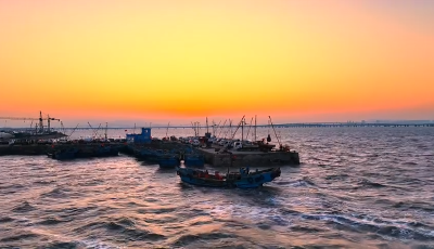 青島市城陽區(qū)：紅島蛤蜊節(jié)上體驗趕海野趣 