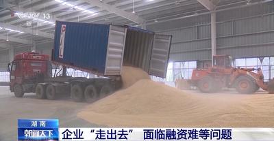 风险大、融资难……中小微电商“出海”难题如何解决？