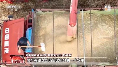 豐收有底氣！全國麥收進度已過六成