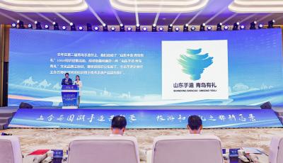 上合元素密集 產(chǎn)業(yè)特色鮮明 多元文化互鑒 2024“上合之夏”手造精品展第三屆青島手造節(jié)開幕