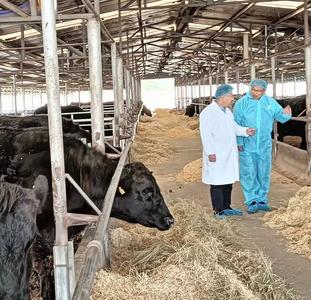 郑学龙荣获2024年中国兽医协会杰出兽医奖 系山东省唯一