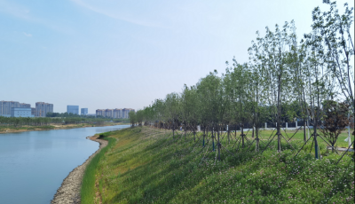 青岛高新区项目建设掀起“夏日攻势”