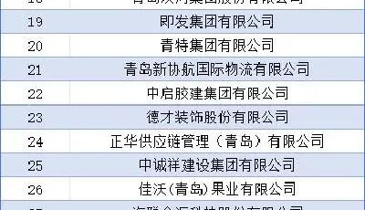 2024山東省民企百強(qiáng)系列榜單發(fā)布，青島17家民企進(jìn)入百強(qiáng)