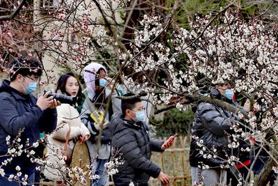 井冈山乡亲幸福日子久久长（奋进强国路 阔步新征程·老区行）