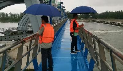 防汛不放松！大沽河管理服務(wù)中心河道巡查護(hù)安瀾
