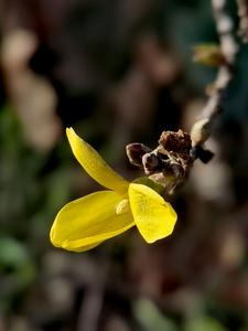 事关医药领域反腐、药品价格虚高，国家医保局最新回应