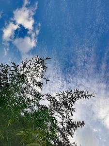 检察机关起诉涉电商领域相关犯罪1万余人