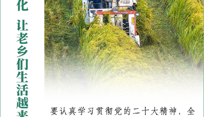 看圖學(xué)習(xí)丨建設(shè)宜居宜業(yè)和美鄉(xiāng)村 總書記牽掛在心
