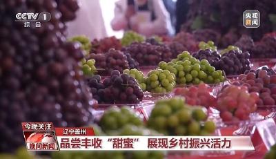 糧食有望獲豐收 瓜果飄香產(chǎn)業(yè)旺！看秋日好“豐”景