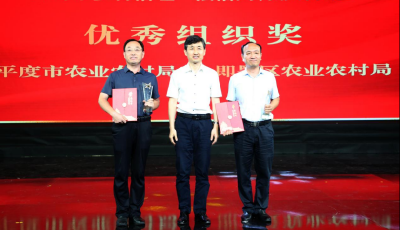 青島這場影像大賽收獲滿滿，112名獲獎?wù)呙麊渭邪l(fā)布