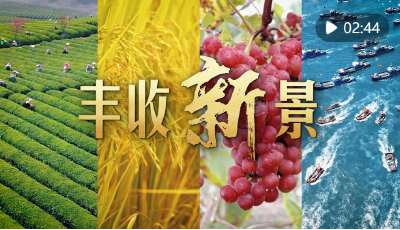 微視頻｜豐收新景