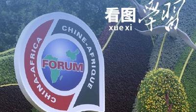 看圖學習·眾行致遠丨如何匯聚“全球南方”磅礴力量 習近平主席深刻闡述