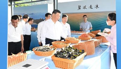 熱解讀｜這篇“?！钡奈恼?蘊(yùn)藏著中國鄉(xiāng)村振興密碼