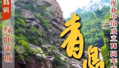 青島長大了 | 第五輯 綠蔭圍城