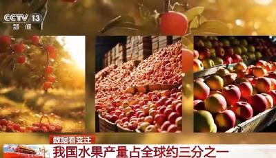 一組數(shù)據(jù)看變遷！我國水果產(chǎn)量占全球約三分之一