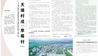 人民日報關(guān)注青島推進城市更新：建設(shè)公園城市 拓展綠色空間