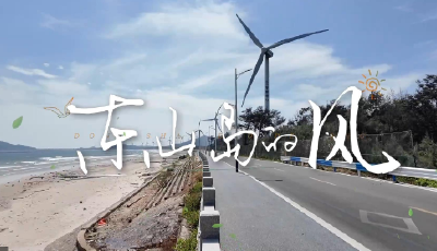 時(shí)政微調(diào)查丨東山島的風(fēng)