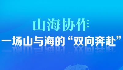 聯(lián)播+｜山海協(xié)作，一場山與海的“雙向奔赴”