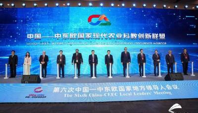 與中東歐攜手，山東以開放成就未來